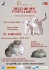 MVK Chomutov 2023